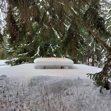 Cosy Duplex Arc1800 Aiguille Grive1 6 Personnes Les Arcs (Savoie)