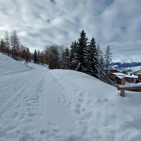Cosy Duplex Arc1800 Aiguille Grive1 6 Personnes *